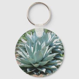 Chaveiro Agave Succult Plant Cactus Green Sage