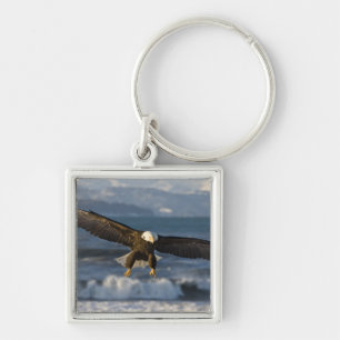 Chaveiro Águia-careca, Haliaeetus leucocephalus, Homer, 3