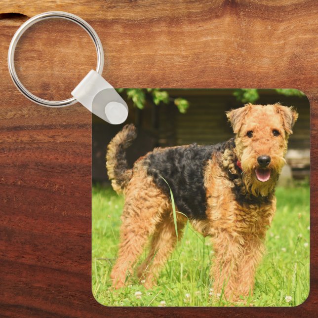 Chaveiro Airedale Terrier Puppy Dog (Frente)
