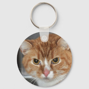 Chaveiro alaranjado do gato de gato malhado de