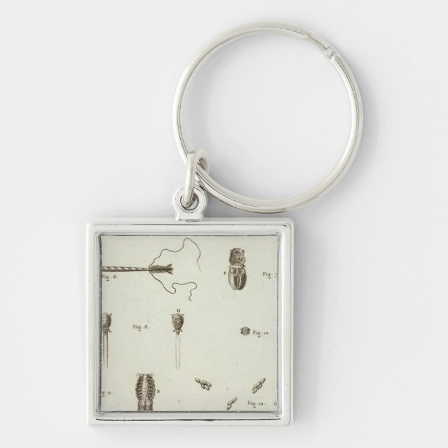 Chaveiro Alasca 3 (Frente)