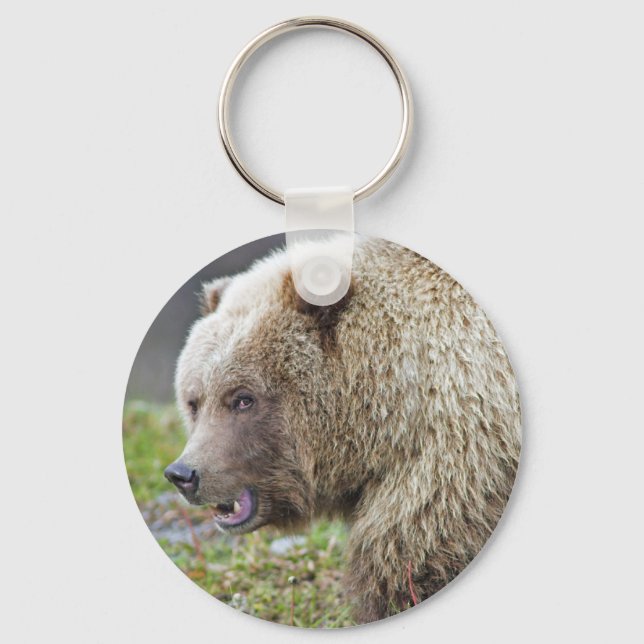Chaveiro Alaskan Brown Bear (Frente)