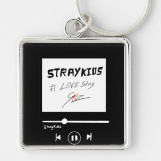 Chaveiro Álbum Skz
