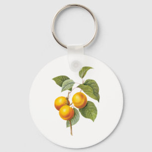 Chaveiro Alimento Antigo Fruta, Damasco Pêssego por Redoute