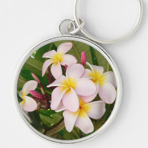 Chaveiro Aloha o Frangipani havaiano floresce Plumerias