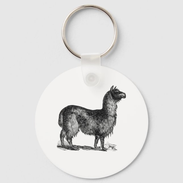 Chaveiro Alpaca Llama Cute Peru Animal Nature Art (Frente)