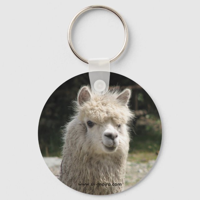 Chaveiro Alpaca, Parque Llaviucu, Equador (Frente)