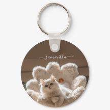 Amante de gato branco majestoso
