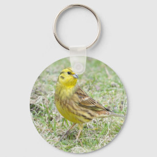 Chaveiro amarelo do pássaro de Yellowhammer