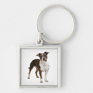 Chaveiro Amarrador de Chaves de Filhote de Cão American Sta