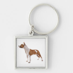 Chaveiro Amarrador de Chaves de Filhote de Cão American Sta