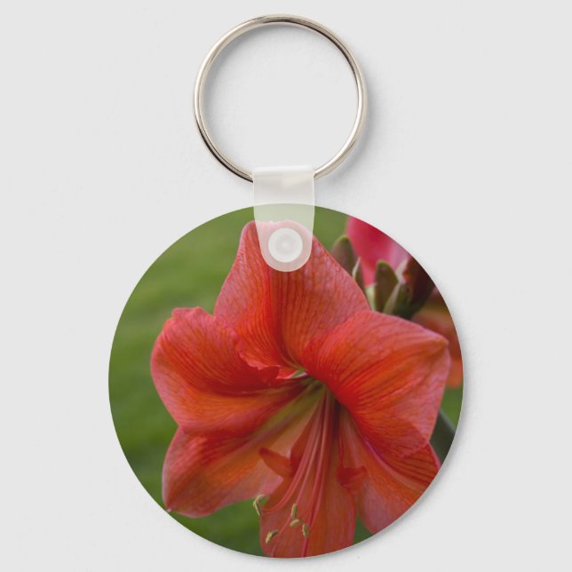 Chaveiro Amaryllis (Frente)