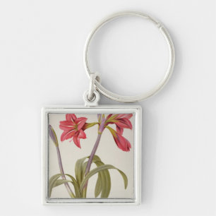 Chaveiro Amaryllis Brasiliensis