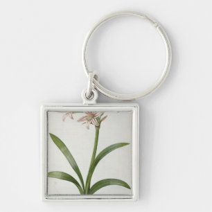 Chaveiro Amaryllis Vittata