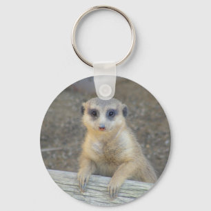 Chaveiro Ame-me Meerkat
