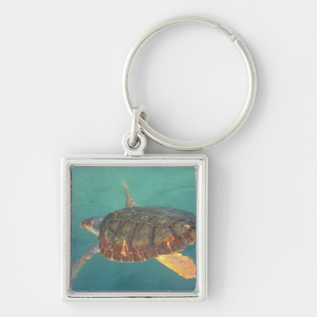 Chaveiro América Central, Panamá, Bocas Del Torro (Frente)