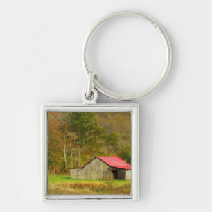 Chaveiro America do Norte, EUA, North Carolina, rural