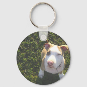 Chaveiro american PitBull terrier Olhando Para Cima