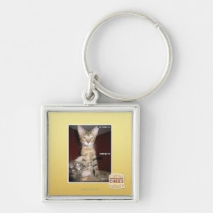 Chaveiro Amigos do idiota