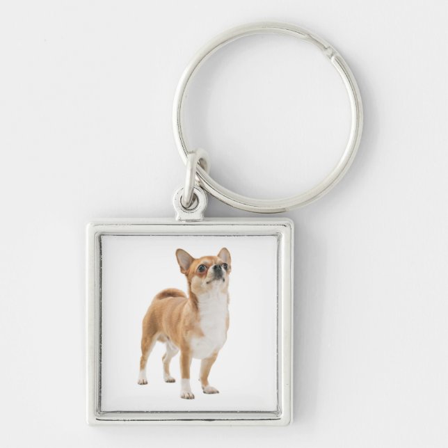 Chaveiro Amor Chihuahua Puppy Dog Key Chain (Frente)
