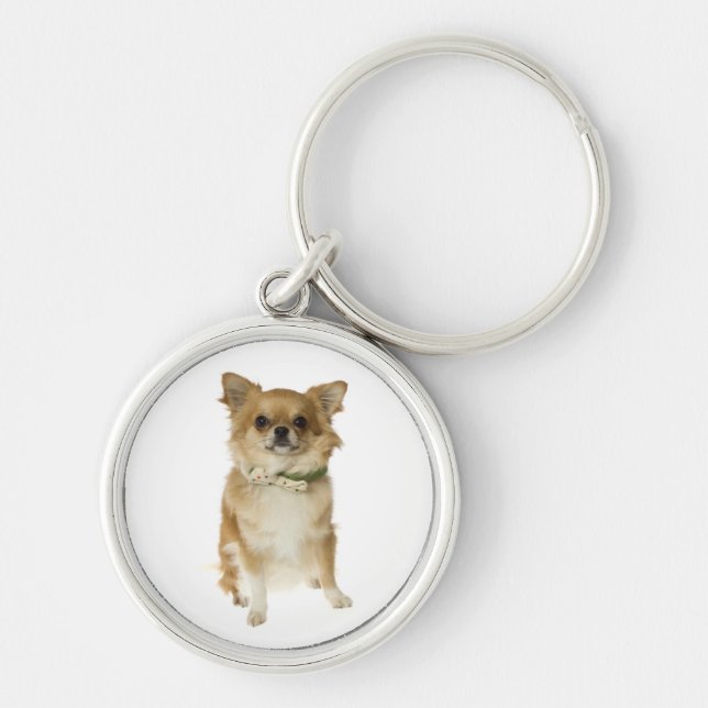 Chaveiro Amor Chihuahua Puppy Dog Key Chain (Frente)
