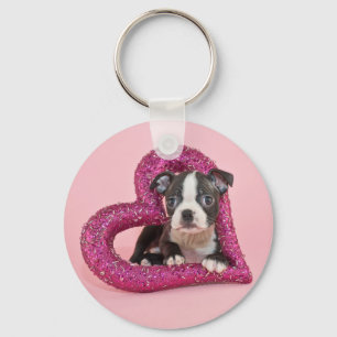 Chaveiro Amor de filhote de cachorro das imagens   de Getty