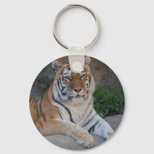 Chaveiro Amor de Tigre