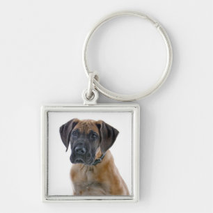 Chaveiro Amor Grande Filhote de Cachorro Dog Canino Porta-C