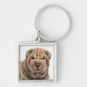 Chaveiro Amor por Filhote de Cachorro Shar Pei Chinês em Po
