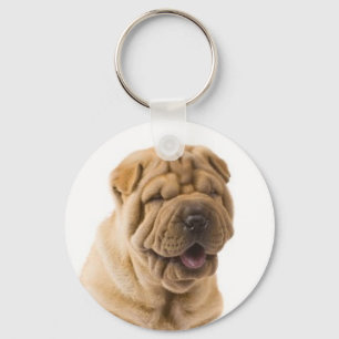 Chaveiro Amor por Filhote de Cachorro Shar Pei Chinês em Po