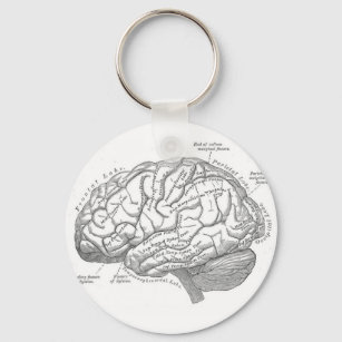 Chaveiro Anatomia cerebral Vintage
