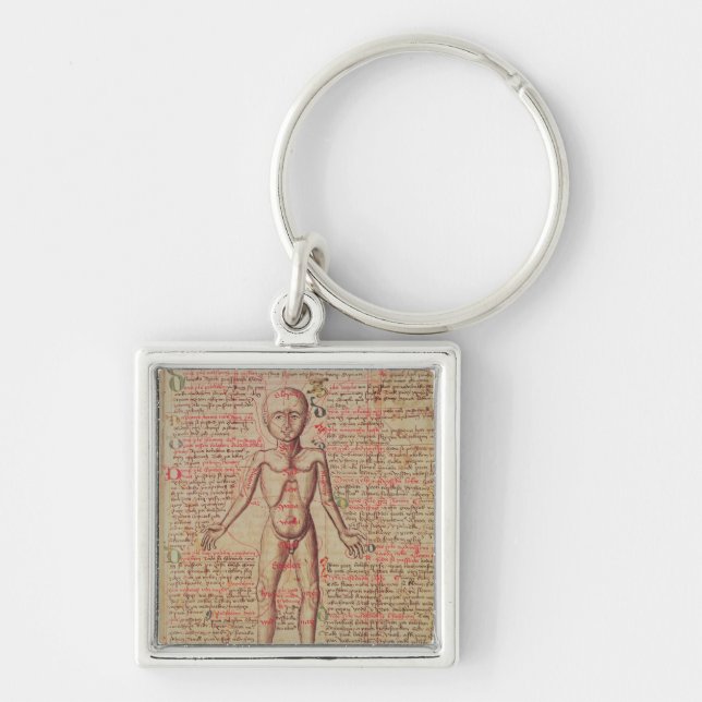 Chaveiro Anatomia do corpo humano (Frente)