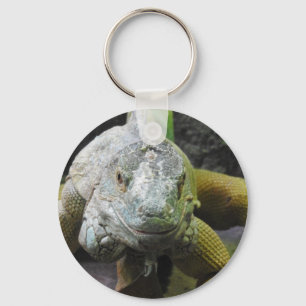 Chaveiro Anel chave da iguana