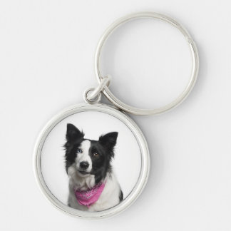 Chaveiro Anel chave de border collie