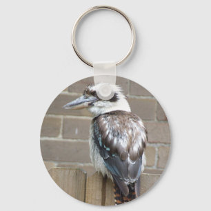 Chaveiro Anel chave de Kookaburra