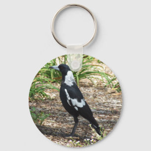 Chaveiro Anel chave de Magpie australiano