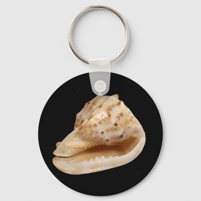 Chaveiro Anel de Chave do Conch Shell (Frente)