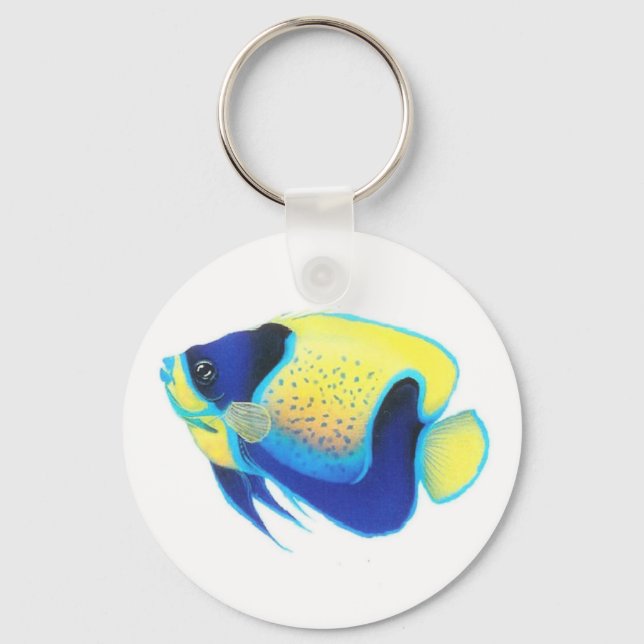CHAVEIRO ANGEL FISH (Frente)