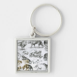 Chaveiro Animais carnívoros