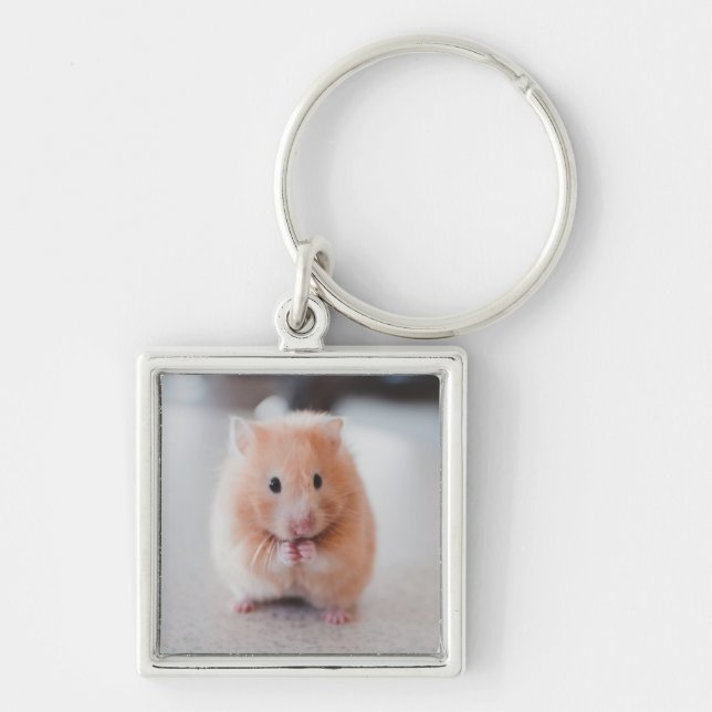 Chaveiro Animais de amores de hamster (Frente)