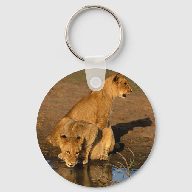 Chaveiro animais selvagens 300 (Frente)