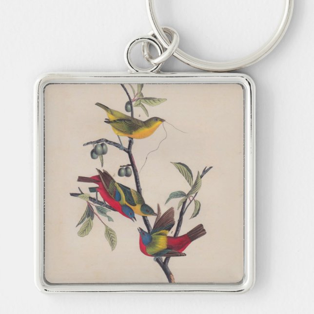 Chaveiro Animais Selvagens de Aves Pintadas com Audubon (Frente)