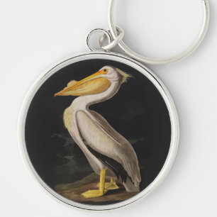 Chaveiro Antigo Pelicano Branco de John James Audubon Coste