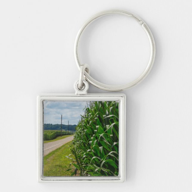 Chaveiro Ao Lado De Um Campo De Milho (Frente)