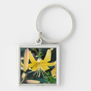 Chaveiro ao quadrado