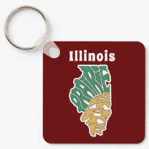 Apelido Word Art de Illinois