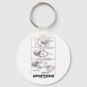 Chaveiro Apoptosis (morte celular da biologia)