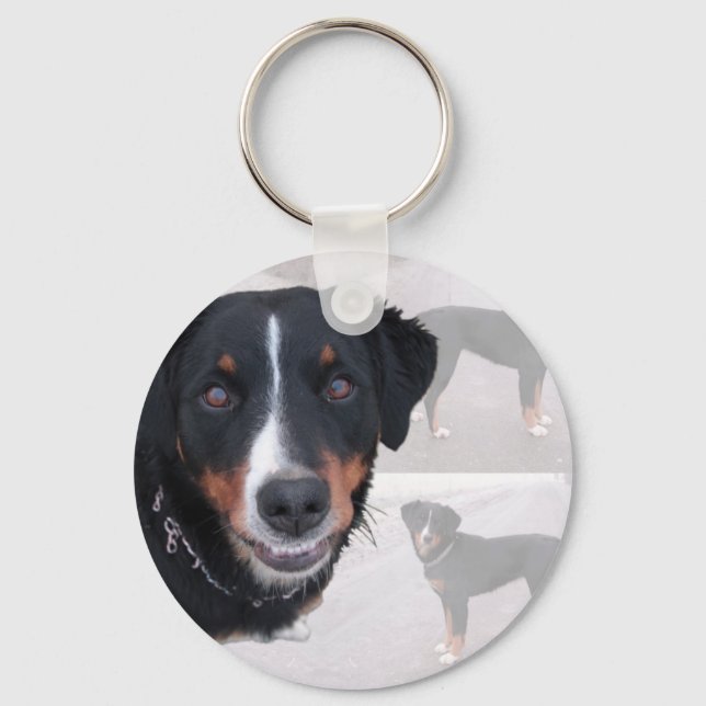 Chaveiro "Appenzeller Sennenhund" (Frente)