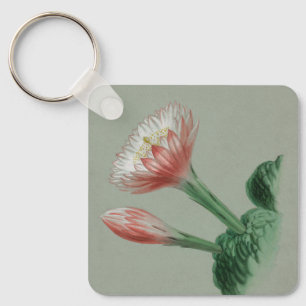 Chaveiro Apple peruana