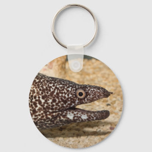 Chaveiro Aquele é um Moray!